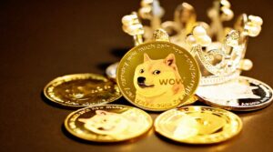 62% Of Owners Of Dogecoin In Te Green As Hopes Of The Coin Integrated With Twitter Grows