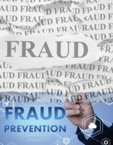 Fraud in Payment Industry